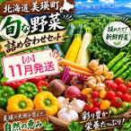 季節の野菜セット 旬野菜 詰め合わせ あらいふぁーむ