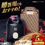 農薬 を使わずに育てた 山つき 夢つくし 5kg