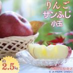 J13 サンふじ 小玉 約2.5kg