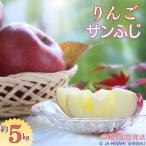 J14 サンふじ 約5kg