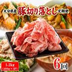 豚切り落とし 定期便 1.2kg