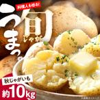 じゃがいも 約10kg