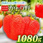いちご かおり野 約1080g
