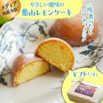 葉山レモンケーキ レモンケーキ