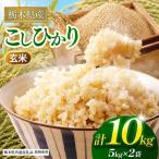 コシヒカリ 白米 10kg