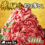 飛騨牛切り落とし 300g