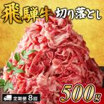 飛騨牛切り落とし 500g