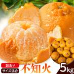 訳あり 不知火 サイズ混合 5kg