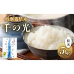 米 千の光 特別栽培米 精米 5kg