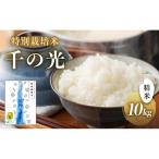 千の光 特別栽培米 精米 10kg