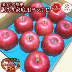 りんご サンふじ約2kg
