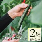 fu.... налог Miyazaki префектура высота . блок производство огурец 2kg(18~20шт.@) [ местного производства Kyushu производство салат . кулинария one Stop online 10000 иен и меньше ] TF0905-P00082 Miyazaki префектура высота . блок 