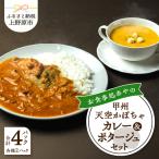 甲州天空かぼちゃカレー&ポタージュセット