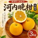 河内晩柑 3kg