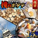 俺のホタテ 極上 稚貝 1.5kg