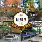 日帰り デイキャンプ 4名様