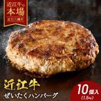 近江牛ぜいたくハンバーグ 150g×10個