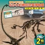 恐竜×海洋化石 穂別恐竜博物館 共通入館券