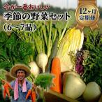 季節の野菜セット 6~7品