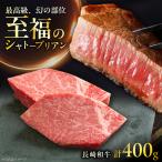 長崎和牛シャトーブリアンステーキ 約200g×2枚
