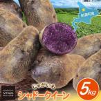 fu.... налог картофель тень Queen 5kg Hokkaido .. блок 