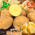 じゃがいも きたあかり 5kg