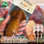 ジャンボいかめし DEKA-MESHI