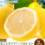 訳あり 三ツ山レモン 3kg
