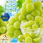 シャインマスカット 2027年発送 2kg