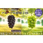シャインマスカット 1kg以上
