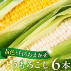 令和8年産 品種おまかせ とうもろこし 6本