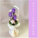 fu.... налог стекло купол. .... цветок. .....[1728431] Chiba префектура . древесный уголь город 