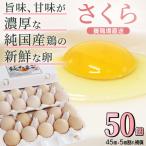 純 鶏 純たまご 50個入り