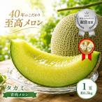 タカミ 1玉