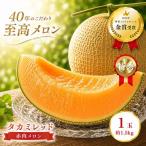 タカミレッド 1玉