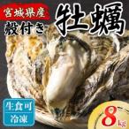 松島牡蠣屋 殻付き牡蠣 生食用 8kg