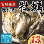 松島牡蠣屋 殻付き牡蠣 生食用 13kg