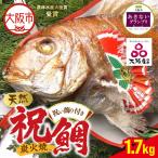 天然祝鯛 炭火焼 1.7kgアップ_OS389-0001-01
