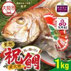 天然祝鯛 炭火焼1kg_OS389-0002-01