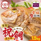 天然祝鯛 炭火焼 1.5kgアップ 愛媛活け鯛