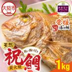 天然祝鯛 炭火焼 1kgアップ 愛媛活け鯛