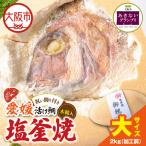鯛の塩釜焼 大_OS389-0004-01