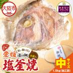 鯛の塩釜焼 中_OS389-0004-02