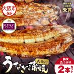 矢作川うなぎ蒲焼 特大 2本セット_OS389-0005-01