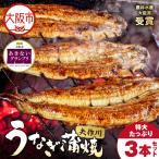 矢作川うなぎ蒲焼 特大 3本セット_OS389-0005-02
