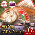 天然祝鯛 炭火焼1.7kg はまぐり100g お食い初めセット_OS389-0007-01