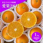 愛果28号 紅まどんなと同品種 約1.0kg