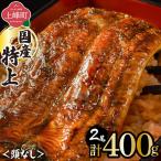 うなぎ蒲焼200g×2尾