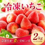 急速 冷凍 いちご 2kg