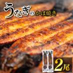 鰻 炭火焼き 2尾
